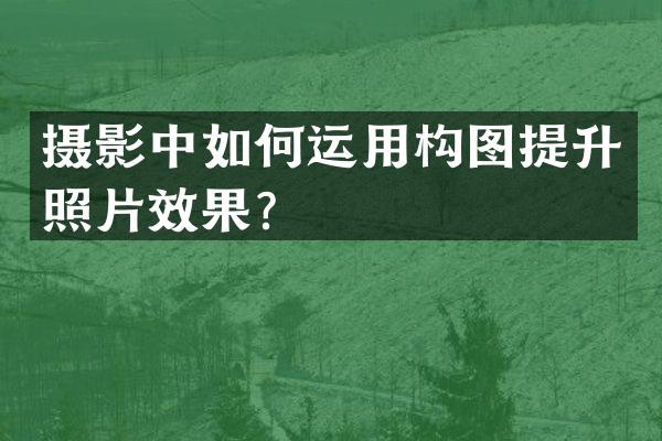 摄影中如何运用构图提升照片效果？