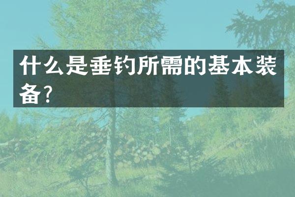 什么是垂钓所需的基本装备？