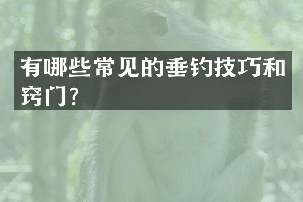 有哪些常见的垂钓技巧和窍门？