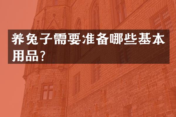 养兔子需要准备哪些基本用品？