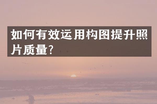 如何有效运用构图提升照片质量？