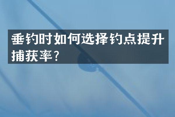 垂钓时如何选择钓点提升捕获率？