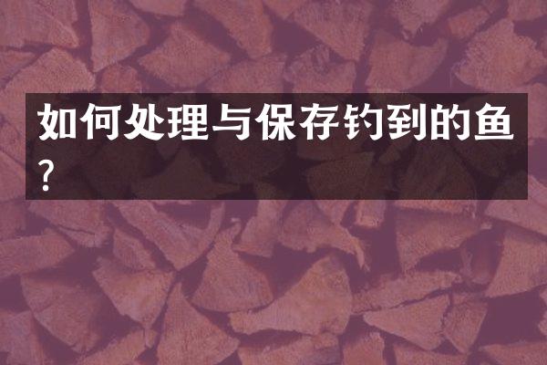 如何处理与保存钓到的鱼？