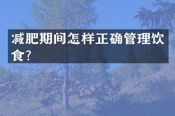 减肥期间怎样正确管理饮食？