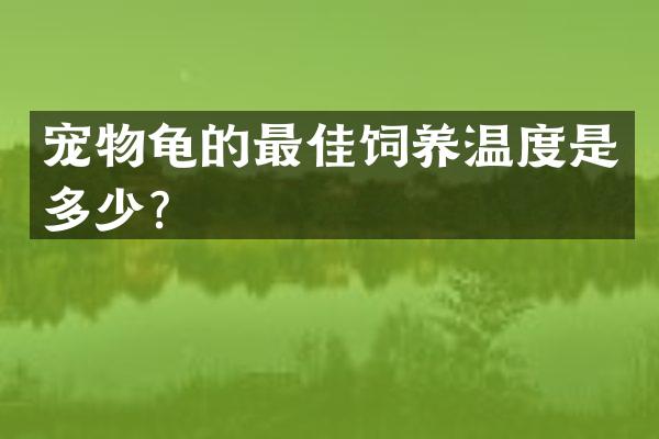 宠物龟的最佳饲养温度是多少？