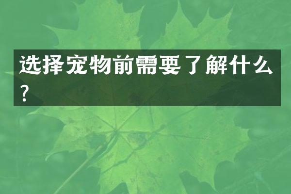 选择宠物前需要了解什么？
