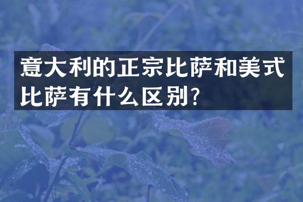意大利的正宗比萨和美式比萨有什么区别？