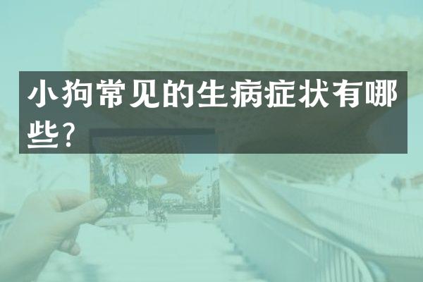 小狗常见的生病症状有哪些？
