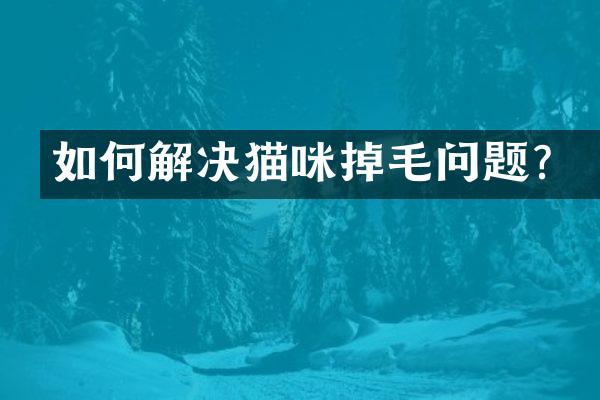 如何解决猫咪掉毛问题？
