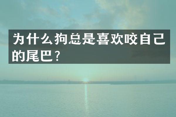为什么狗总是喜欢咬自己的尾巴？