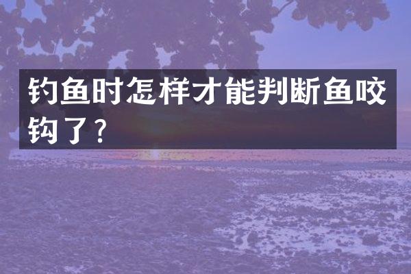 钓鱼时怎样才能判断鱼咬钩了？