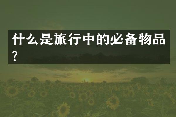 什么是旅行中的必备物品？