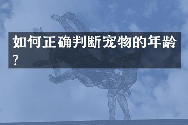 如何正确判断宠物的年龄？