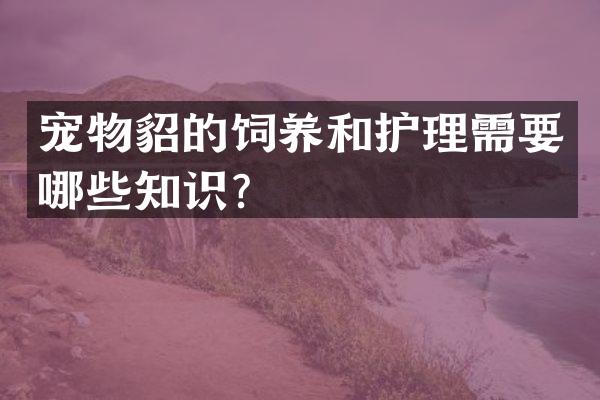 宠物貂的饲养和护理需要哪些知识？