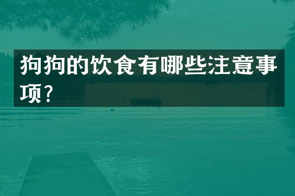 狗狗的饮食有哪些注意事项？