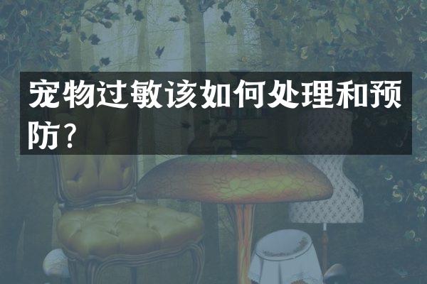 宠物过敏该如何处理和预防？