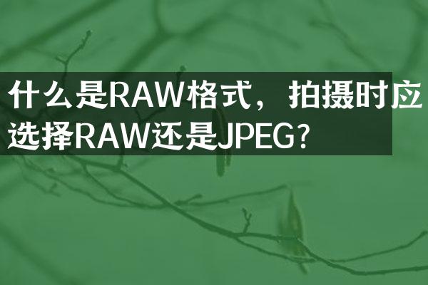 什么是RAW格式，拍摄时应选择RAW还是JPEG？