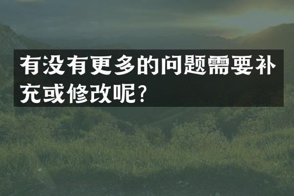 有没有更多的问题需要补充或修改呢？