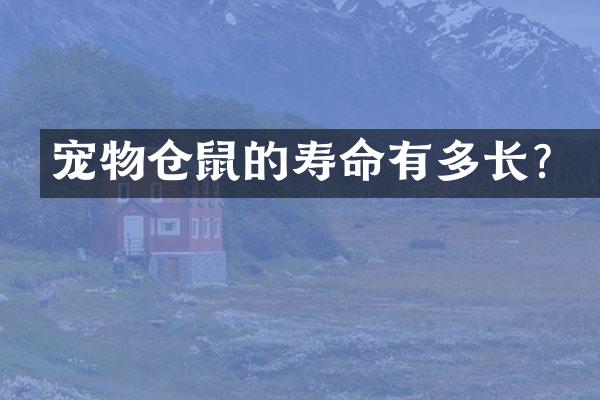 宠物仓鼠的寿命有多长？