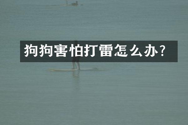 狗狗害怕打雷怎么办？