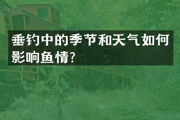 垂钓中的季节和天气如何影响鱼情？