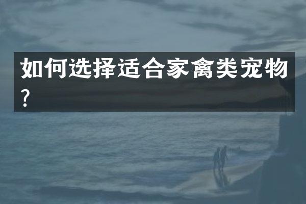 如何选择适合家禽类宠物？
