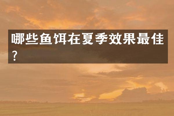 哪些鱼饵在夏季效果最佳？