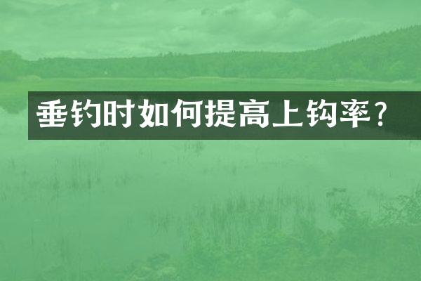 垂钓时如何提高上钩率？
