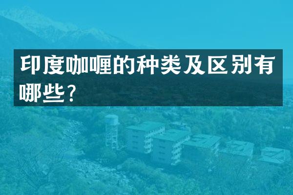 印度咖喱的种类及区别有哪些？