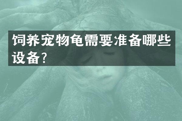 饲养宠物龟需要准备哪些设备？