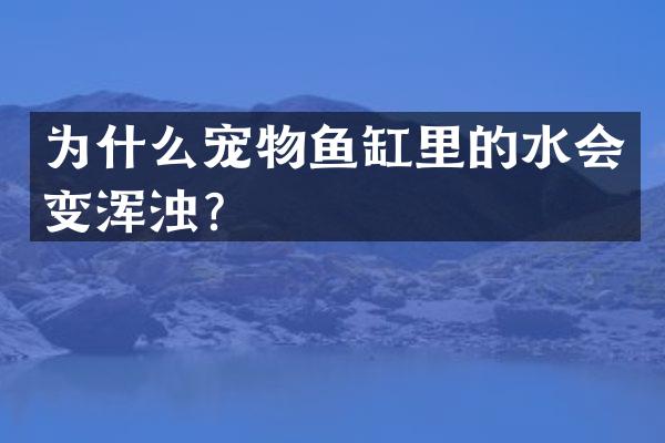 为什么宠物鱼缸里的水会变浑浊？