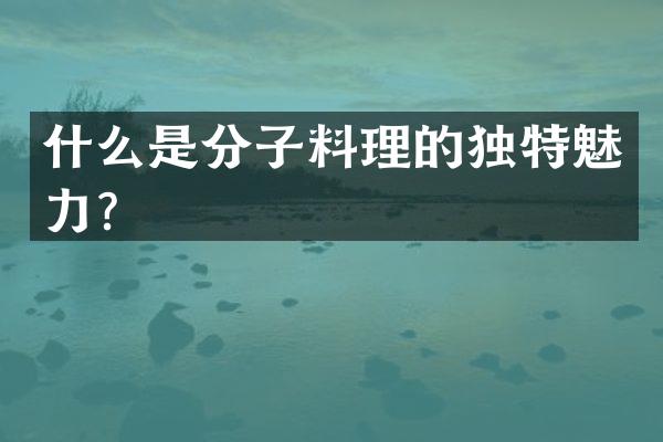 什么是分子料理的独特魅力？
