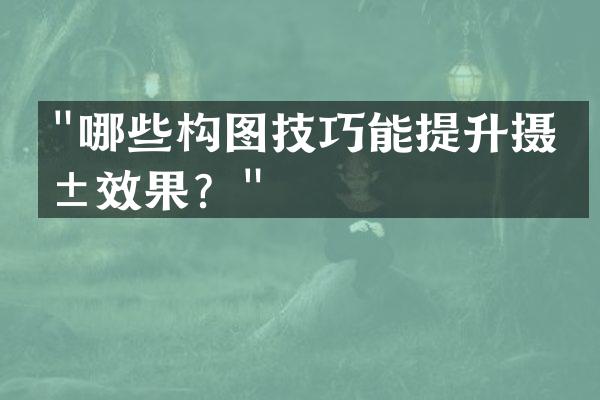 "哪些构图技巧能提升摄影效果？"