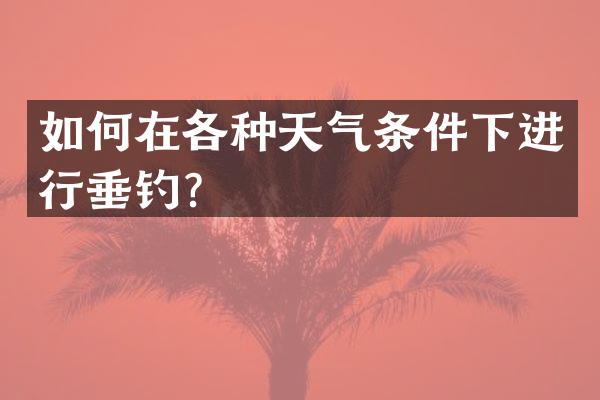 如何在各种天气条件下进行垂钓？