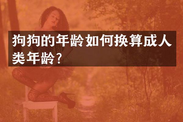 狗狗的年龄如何换算成人类年龄？