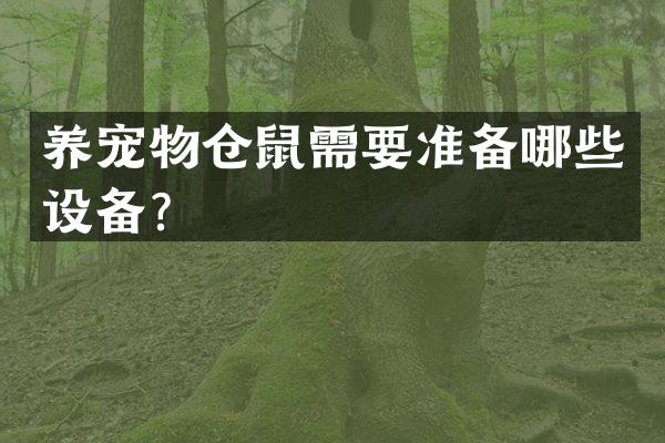 养宠物仓鼠需要准备哪些设备？