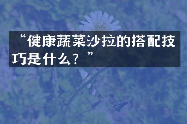 &ldquo;健康蔬菜沙拉的搭配技巧是什么？&rdquo;