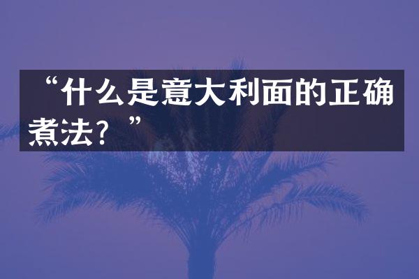 &ldquo;什么是意大利面的正确煮法？&rdquo;