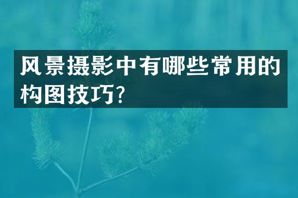 风景摄影中有哪些常用的构图技巧？