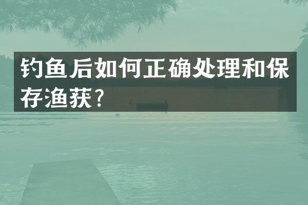 钓鱼后如何正确处理和保存渔获？
