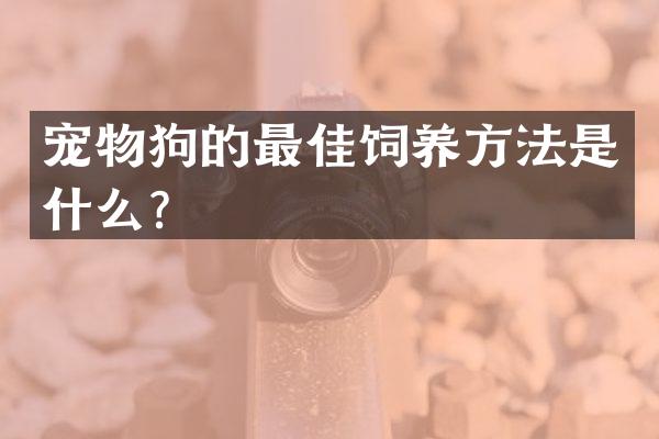 宠物狗的最佳饲养方法是什么？