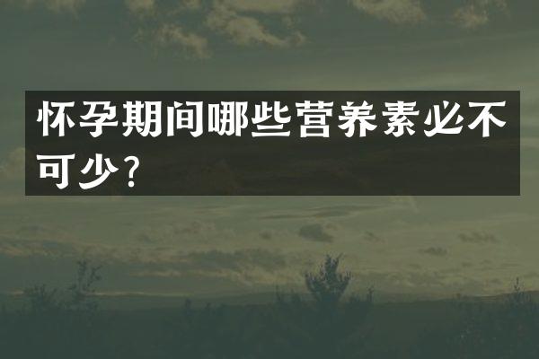怀孕期间哪些营养素必不可少？