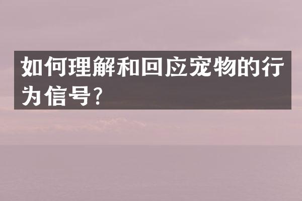如何理解和回应宠物的行为信号？