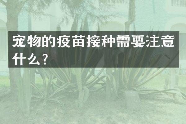 宠物的疫苗接种需要注意什么？