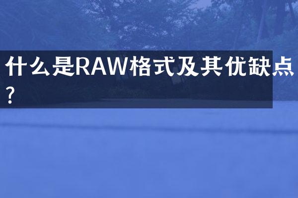 什么是RAW格式及其优缺点？