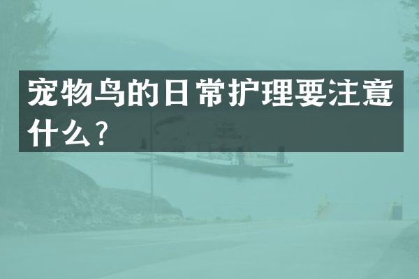 宠物鸟的日常护理要注意什么？