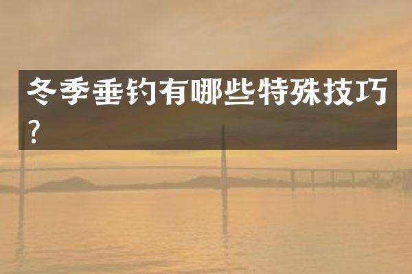 冬季垂钓有哪些特殊技巧？