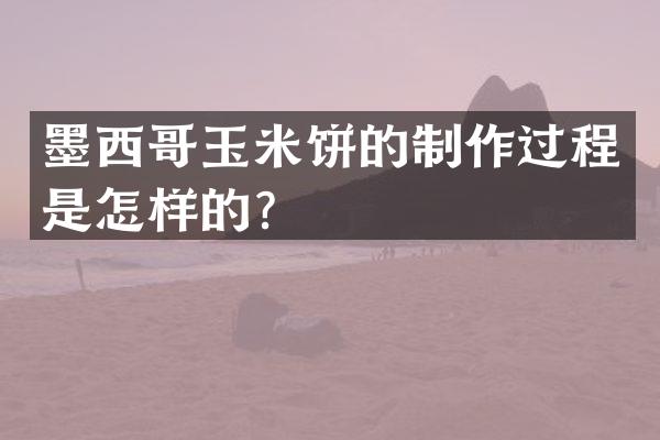 墨西哥玉米饼的制作过程是怎样的？