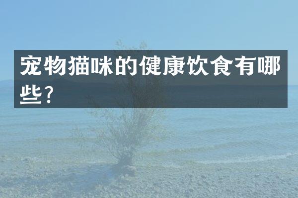 宠物猫咪的健康饮食有哪些？