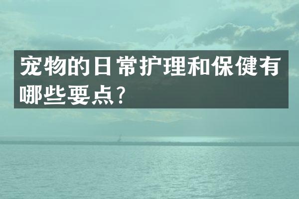 宠物的日常护理和保健有哪些要点？